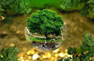 怎樣實施科學的環(huán)保管理？